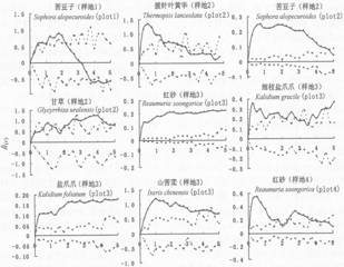 数据缩略图