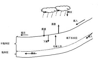 数据缩略图