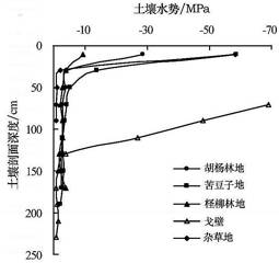 数据缩略图